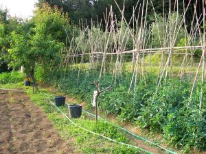 Agriturismo La Bianca Fattoria