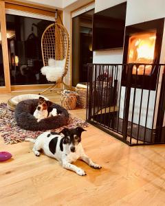 Beautiful Lodge with hot tub & panoramic views