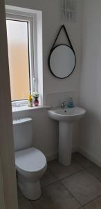 Electric Picnic Accommodation