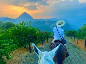 Outstanding FarmHouse jacuzzi & pool near Medellin