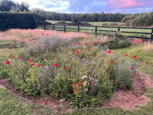 Boutique En-Suite Bedroom Cork