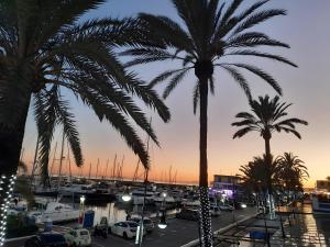 Modern Marina Apt Fantastic