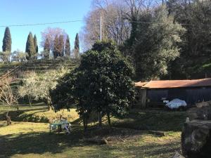 Serenità nella Natura