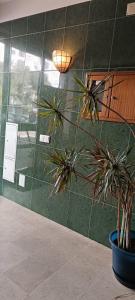 As Chaves do Cantinho da Paz