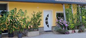 Mini wellness studio-near the airport