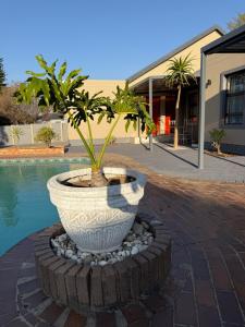 Hamisi Manor Guest House