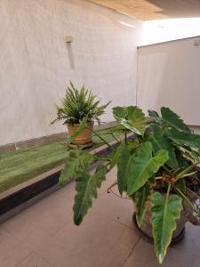 Aqua y Sol Private Pool Parking Air Conditioning