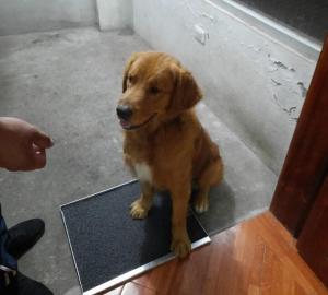 The Balcony of Quito Security Panoramic