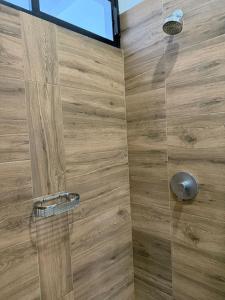 Depto en B Nayar Bahía Banderas