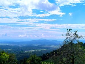 PAVLIN Bed & Breakfast