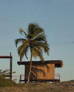 Mangal Amaniū