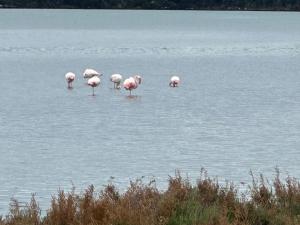 Via Roma House appartamento img12