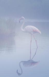 Via Roma House img31