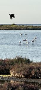 Via Roma House img39