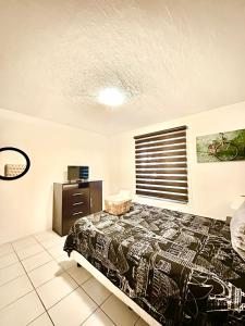 Comfortable and located apartment in EXPO Guadalajara