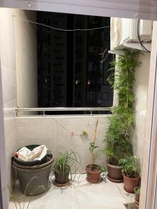 Spacious F3 in Rouiba close to Algiers airport