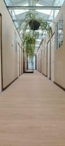 Casa de Huéspedes Noche de Luna