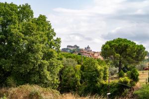 La Tuscia da Quassù