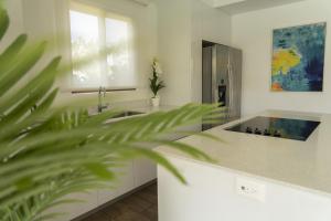 Designer Villa with Private Jacuzzi