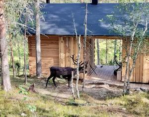 Log House and New Sauna Pikariporras - 4hvězdičkové hotely ve městě Saariselka