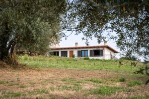 La Tuscia da Quassù