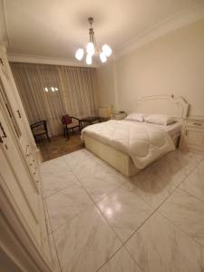 شقق سكنيه علي النيل