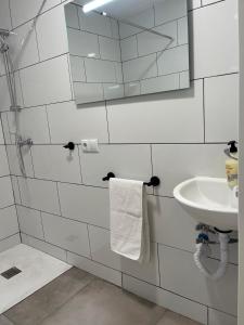 Golondrinas de Alicante