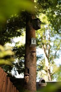 t Veluws Nest - Knus Chalet Veluwe - Hoenderloo, Honden welkom