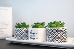 Downtown Haven, Siesta 8 mi, Lido 4 mi, walk to DT