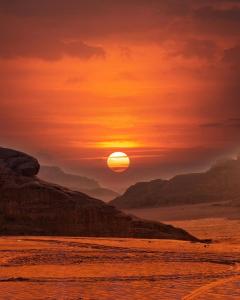 Wadi Rum Bedouin Story Camp & Tours
