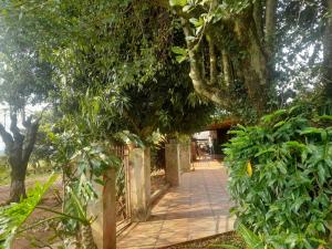 Alojamiento Alborada