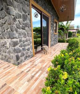 Cabañas El Manantial