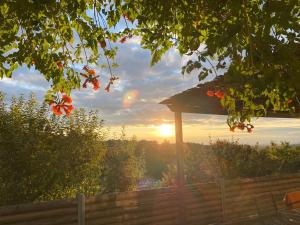 Maison verdoyante et piscine