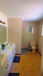 Cozy Home near Downtown, UBC and YVR airport