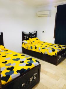 furnished apartment for rent