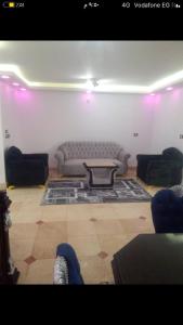 furnished apartment for rent