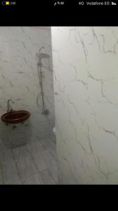 furnished apartment for rent