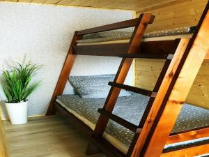 Comfortable holiday homes with terraces