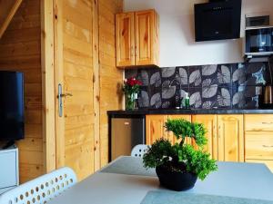 Comfortable holiday homes with terraces