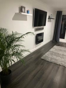 Entire 3 bedroom deluxe house