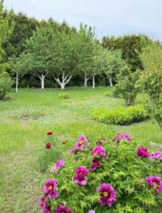 Комфортний будинок для сімейного відпочинку в Ржищеві