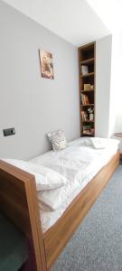 Daisy Apart SKI OUT SKI IN Vila Bela Reka Brzece