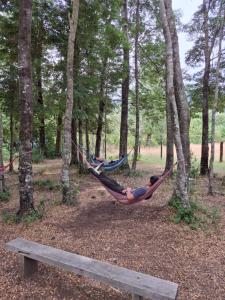 Cabañas con Tinaja en Choshuenco