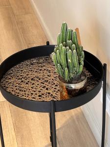 Chic II Studio in the middle of Palermo Soho