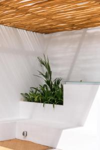 Santori by Drift Balangan