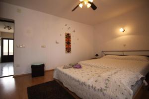 Apartments with parking space Punat, Krk - 24844