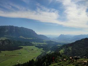 in the Bergblick house