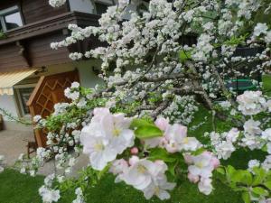 in the Bergblick house