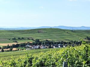 Holiday Home in Pfaffenweiler