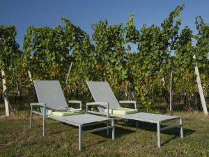 Holiday home in the vineyard Das Nussberg